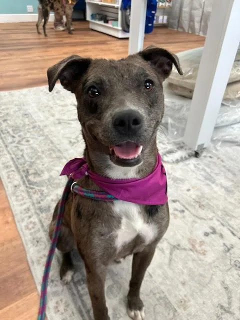 Empire Cl thumbnail 2