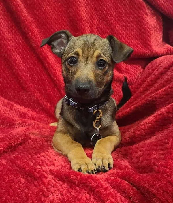 Ernie