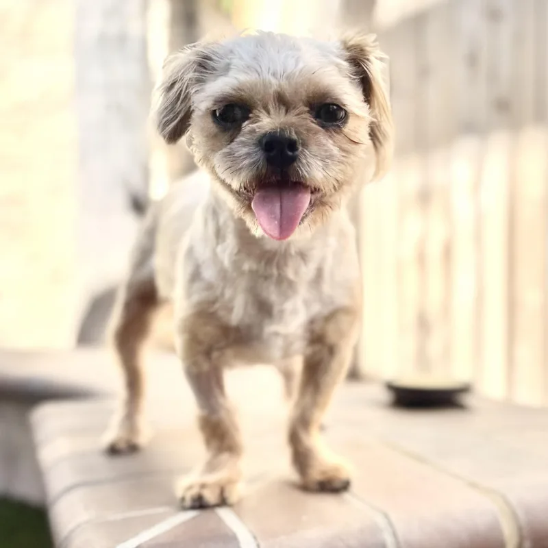 Kiwi & Sprout thumbnail 5