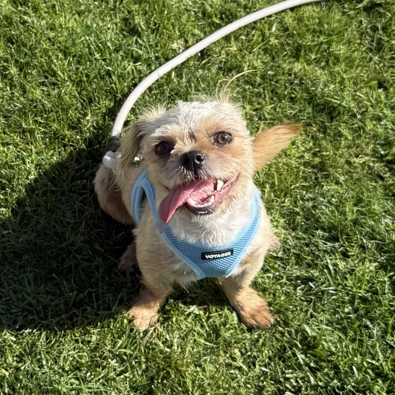 Kiwi & Sprout thumbnail 6