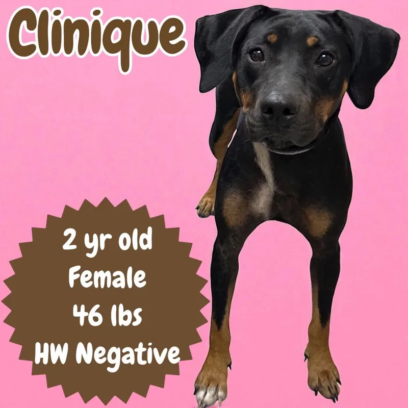 Clinique thumbnail 2