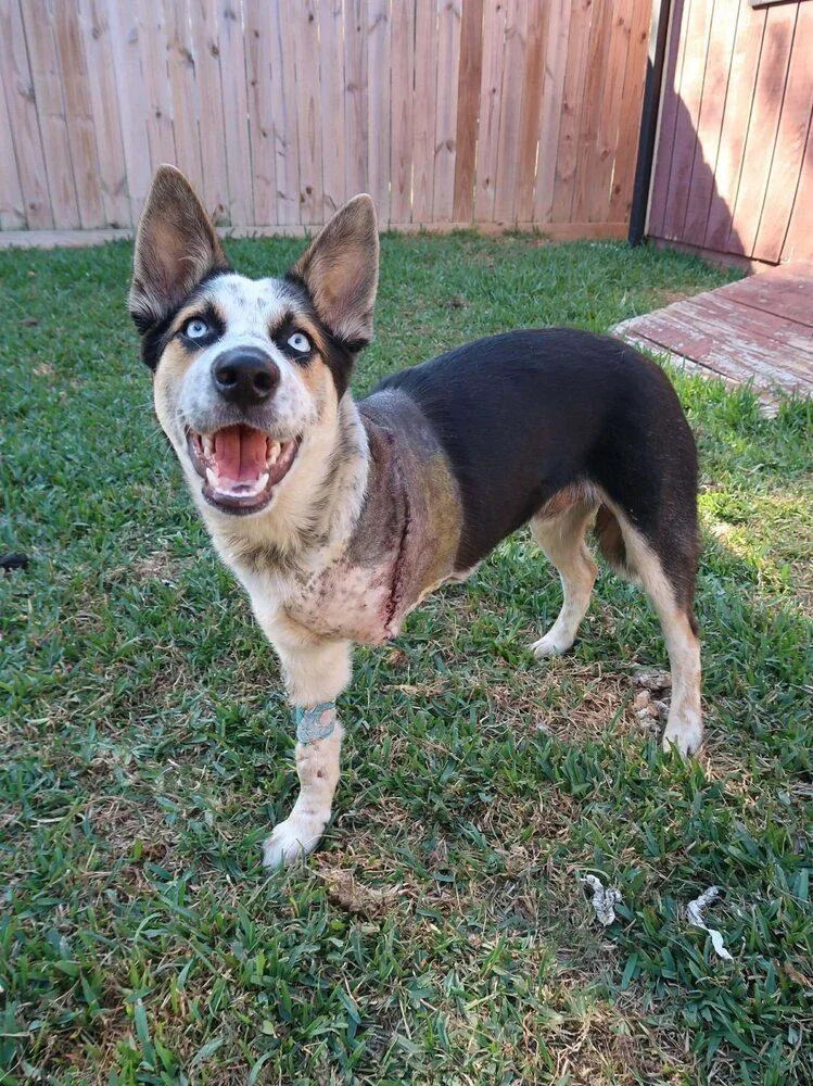 Jingle Jones thumbnail 6