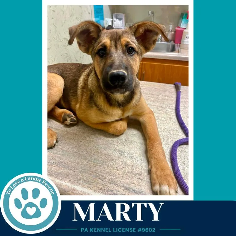 Marty