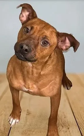 Ernie