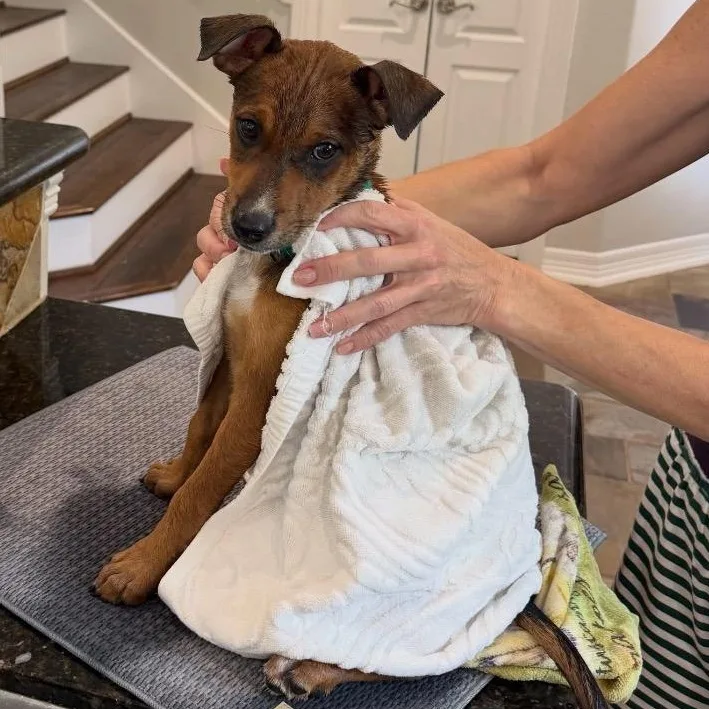 Jacqueline thumbnail 3