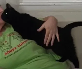 Ebony thumbnail 3