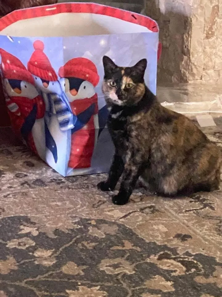 Momma Wendy thumbnail 2