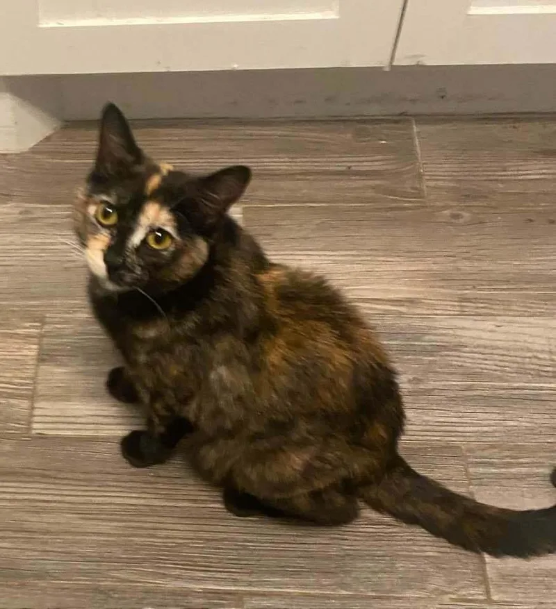 Momma Wendy thumbnail 4