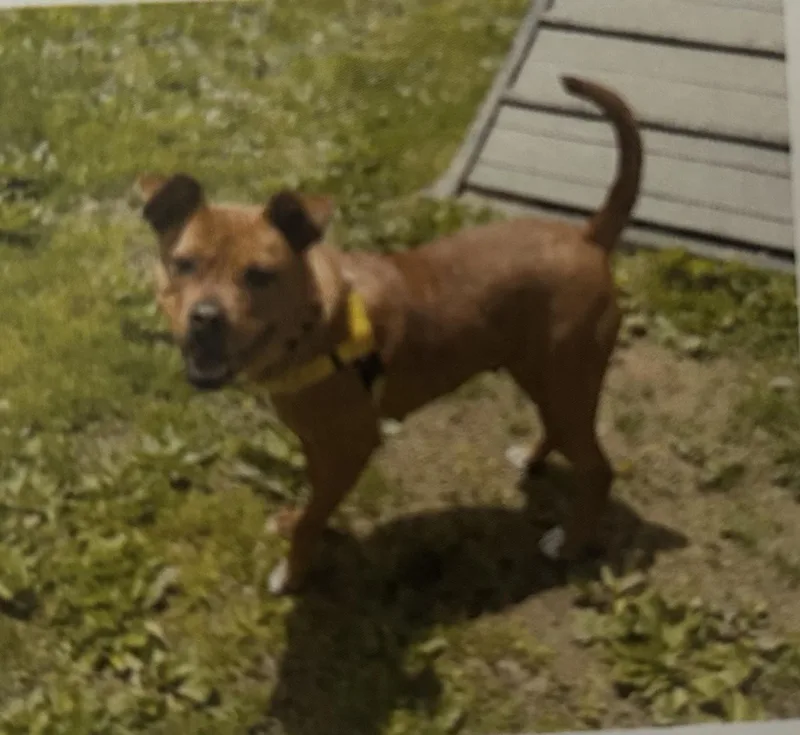 Lucretia thumbnail 2