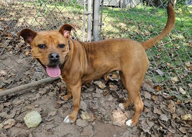 Lucretia thumbnail 3