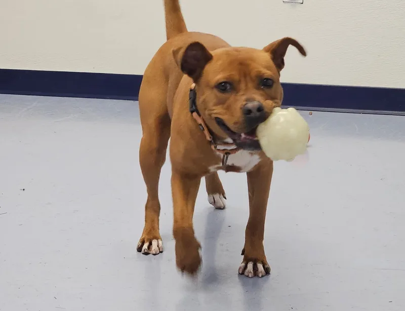 Lucretia thumbnail 6