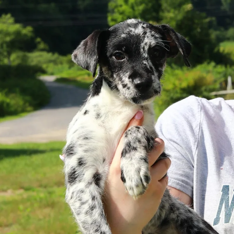 CT Tilly thumbnail 3