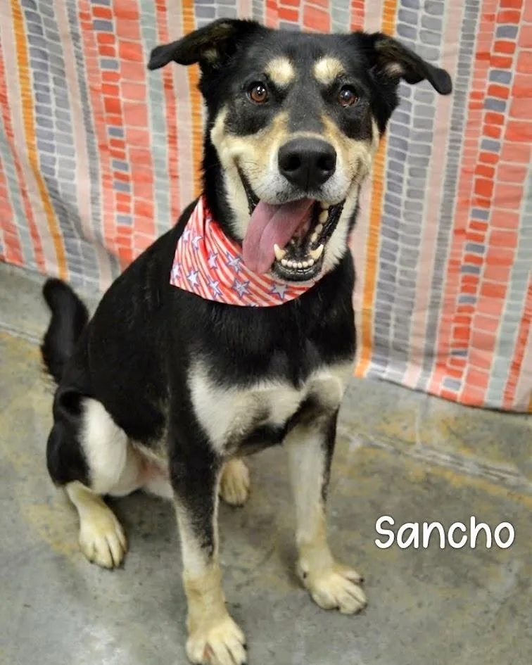 Sancho thumbnail 2