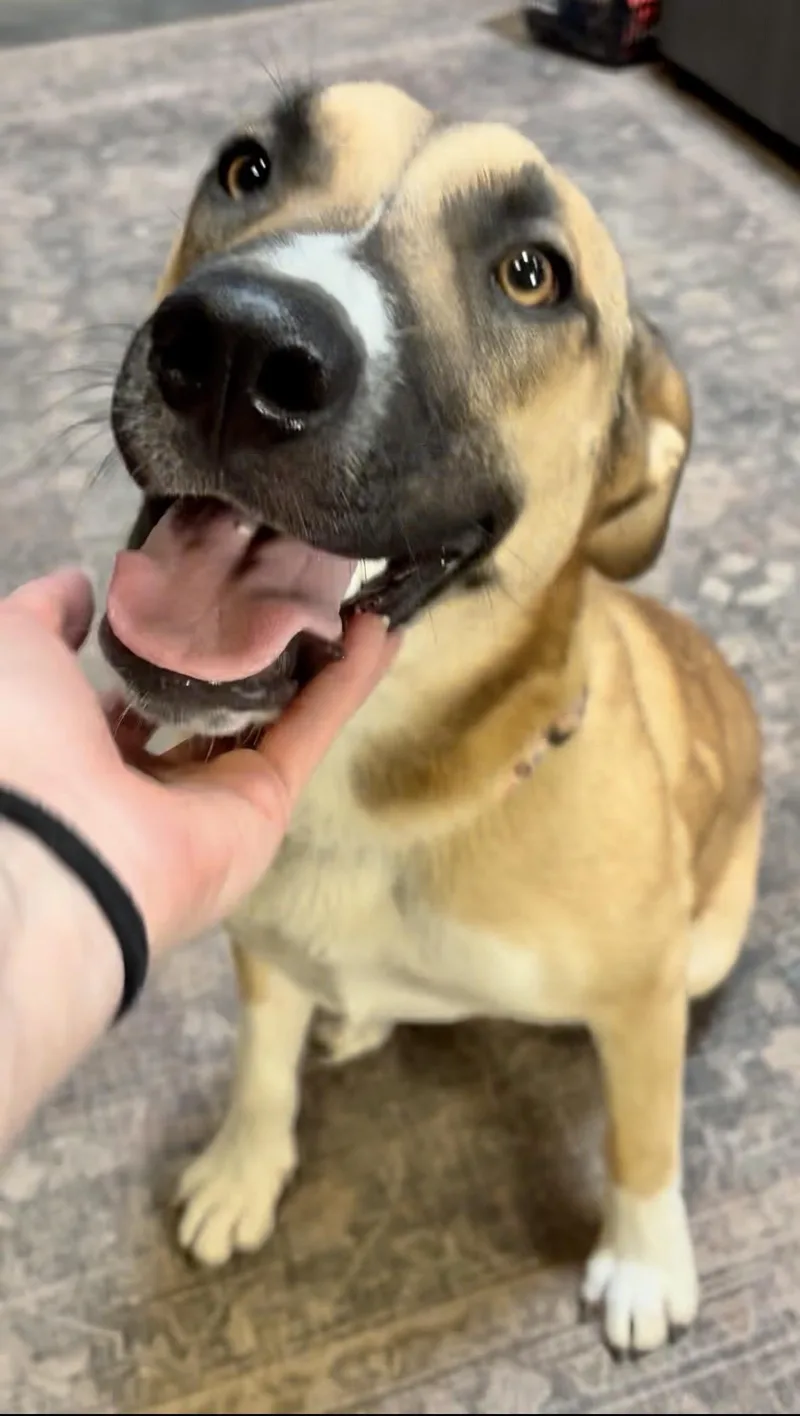 Kiki