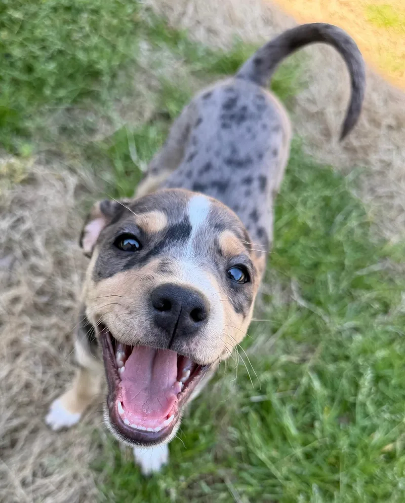 Sprinkles thumbnail 2