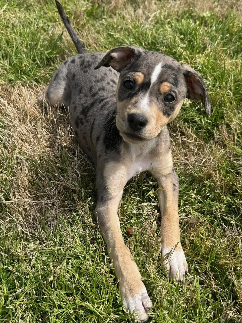 Sprinkles thumbnail 3