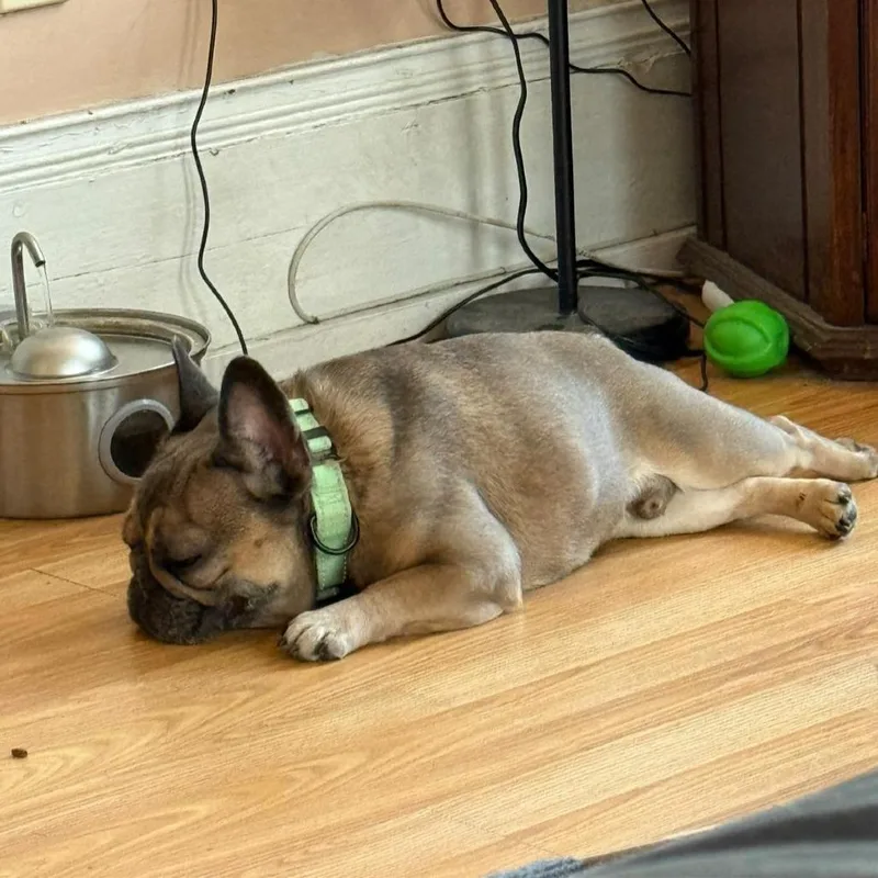 Max