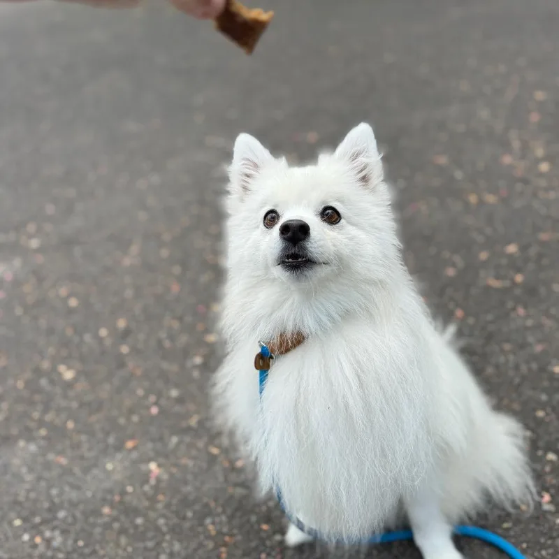 Jenny thumbnail 2