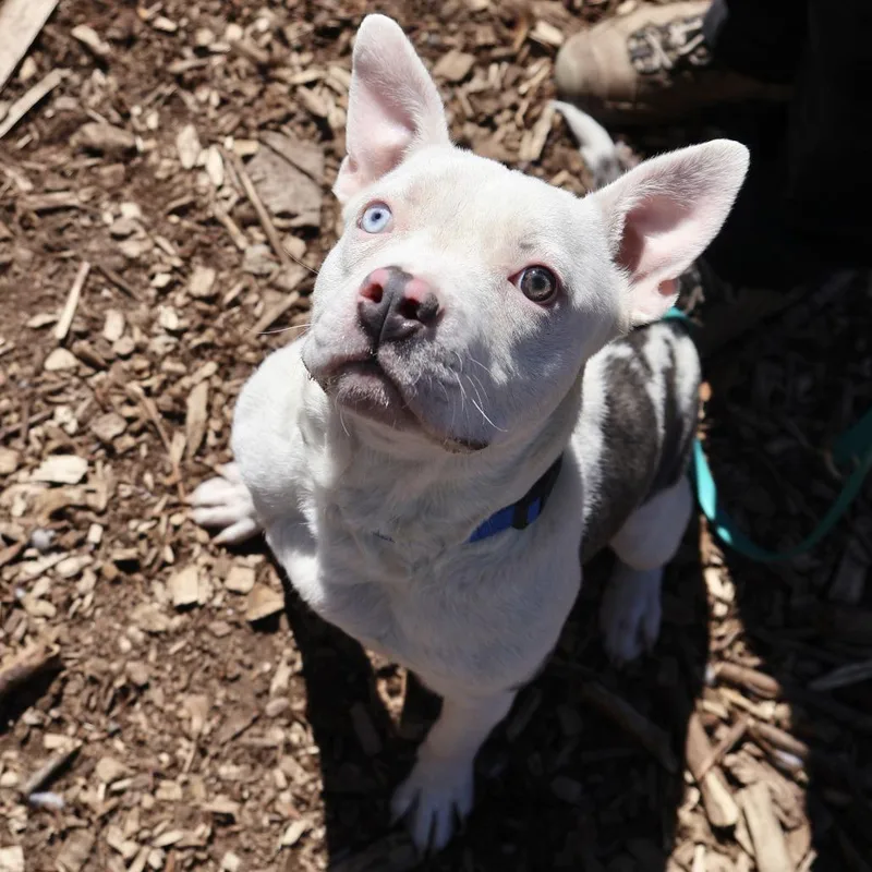 Isabelle thumbnail 2