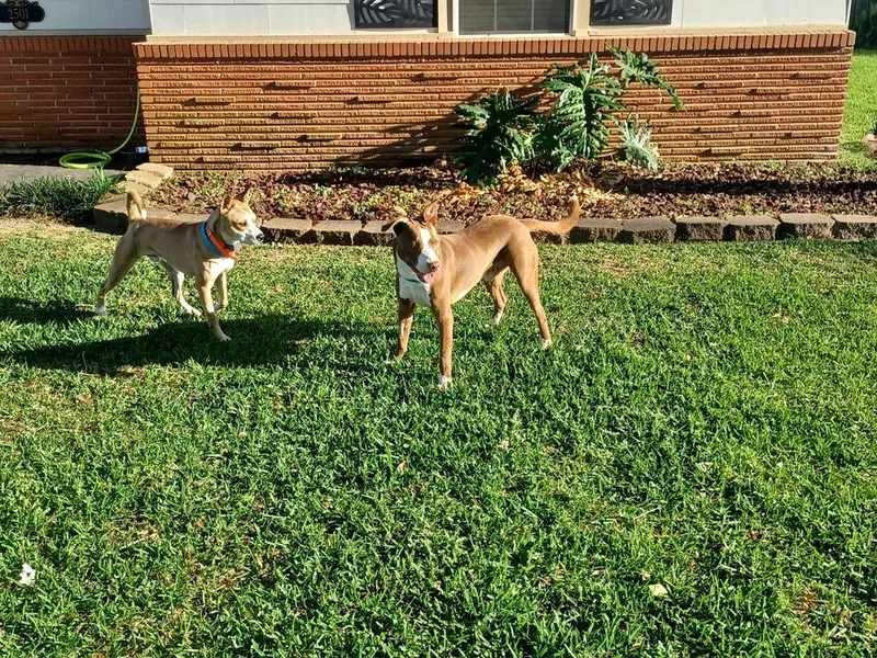 Louis 🤍 A thumbnail 2