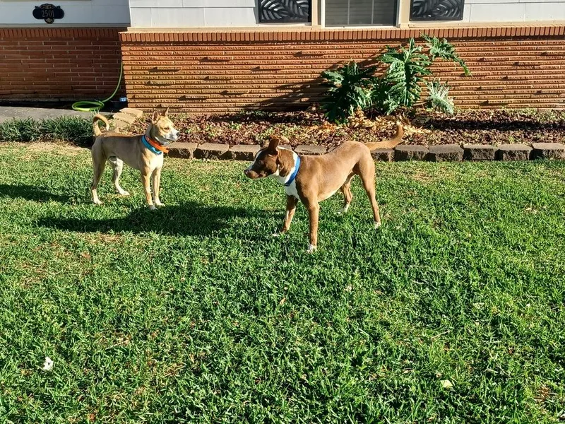 Louis 🤍 A thumbnail 3