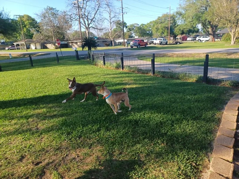 Louis 🤍 A thumbnail 6