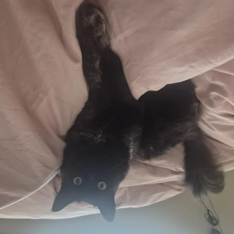 Smudge