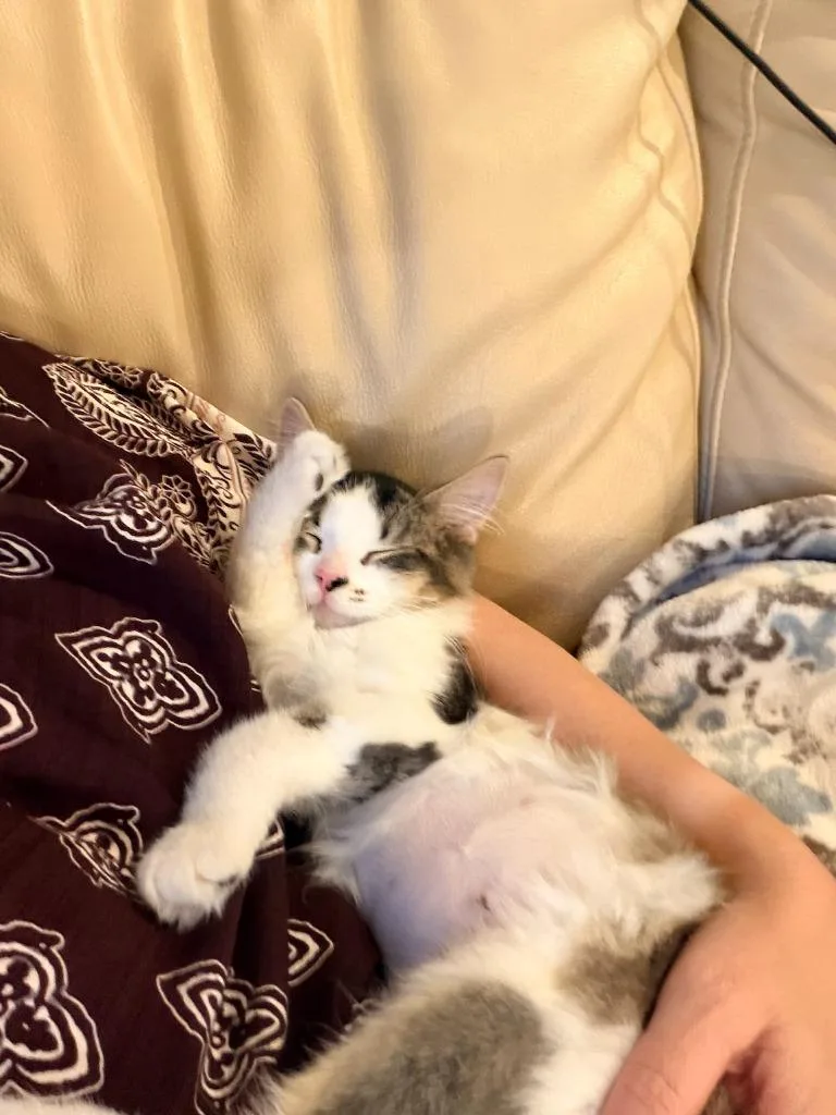 Edith  Olive thumbnail 2