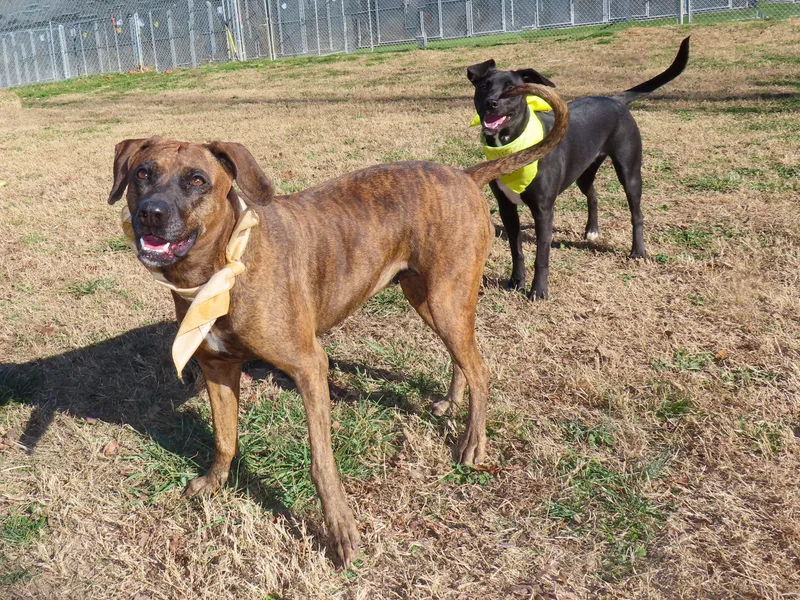 Yessi  Ca thumbnail 3