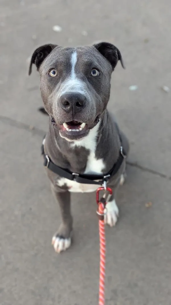 Marcelle thumbnail 2