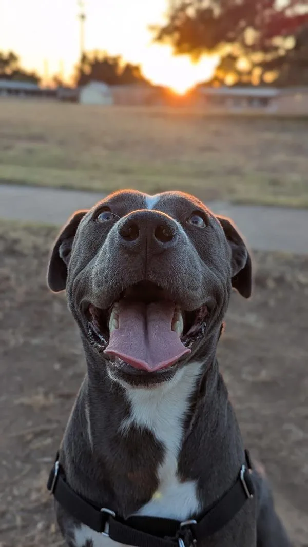 Marcelle thumbnail 5