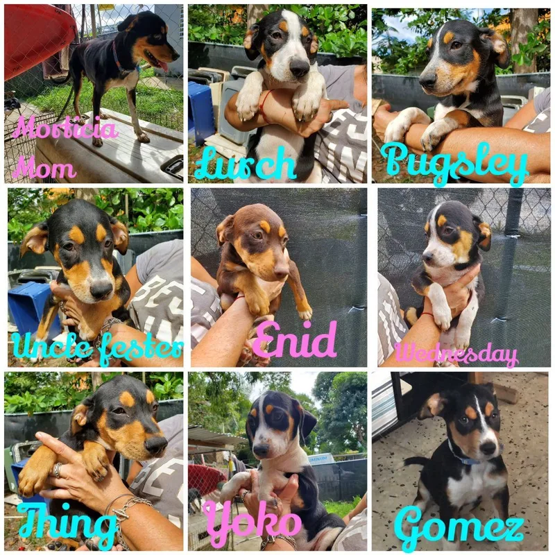 Wednesday thumbnail 2