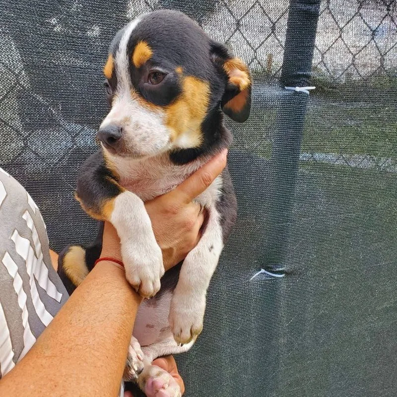 Wednesday thumbnail 3