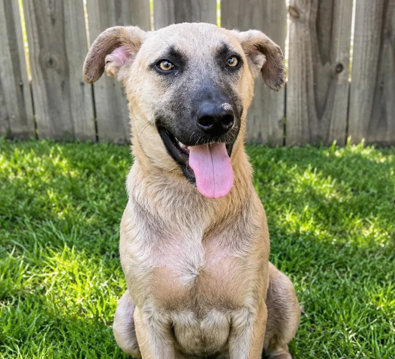 Murphy