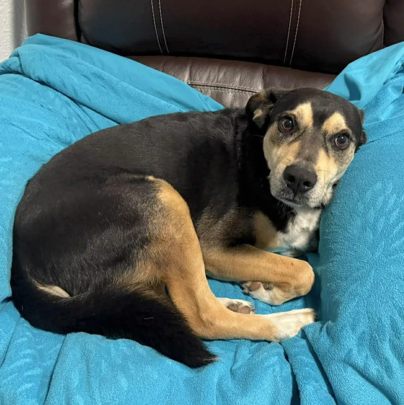 Buster Boo thumbnail 3