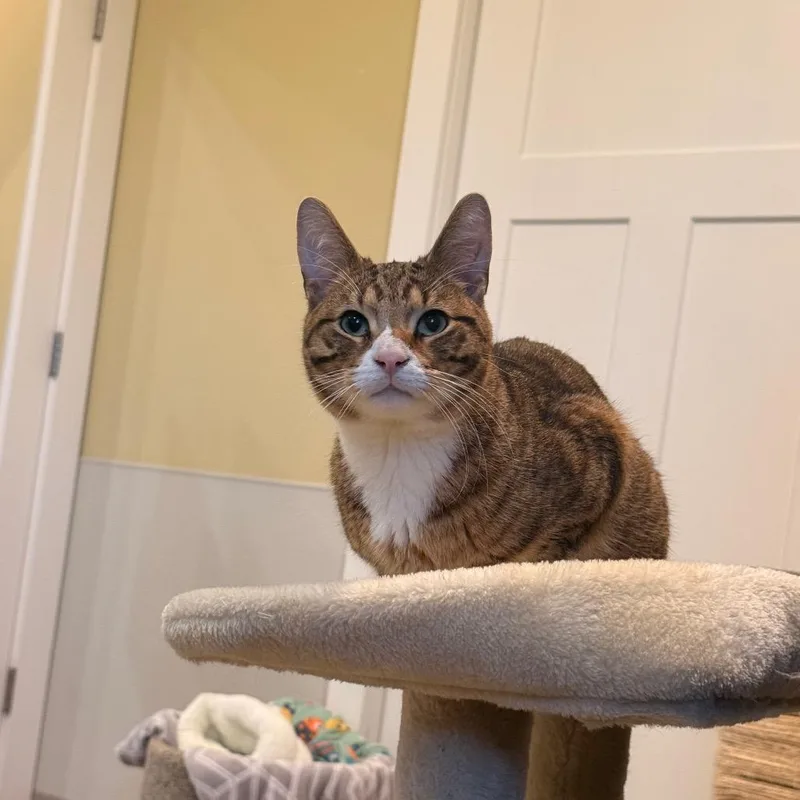 Prometheus thumbnail 2