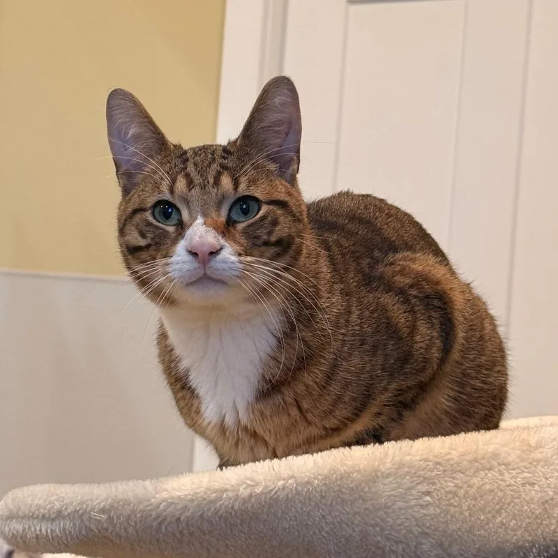 Prometheus thumbnail 3