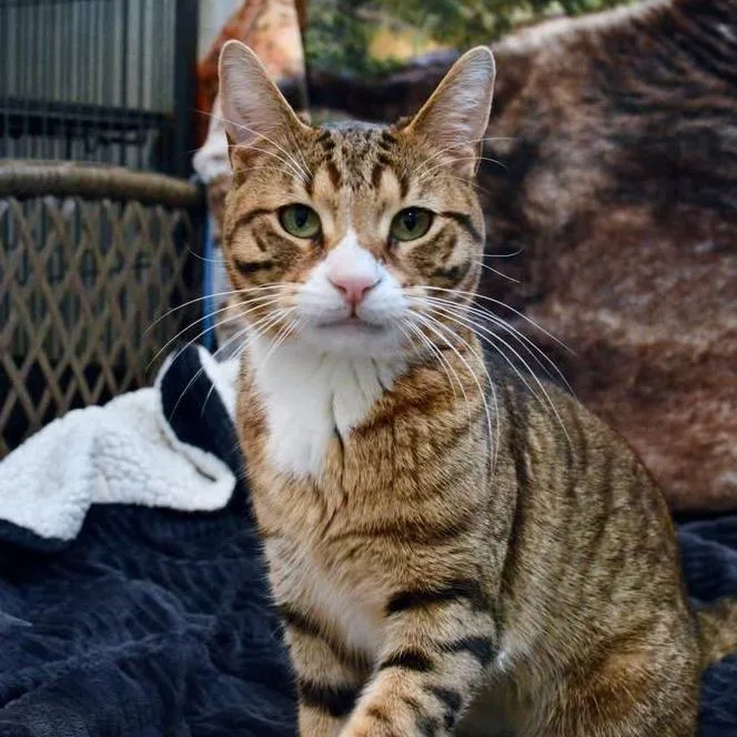 Prometheus thumbnail 4