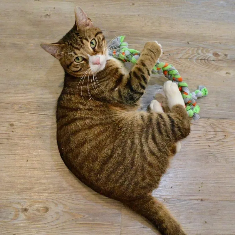 Prometheus thumbnail 5