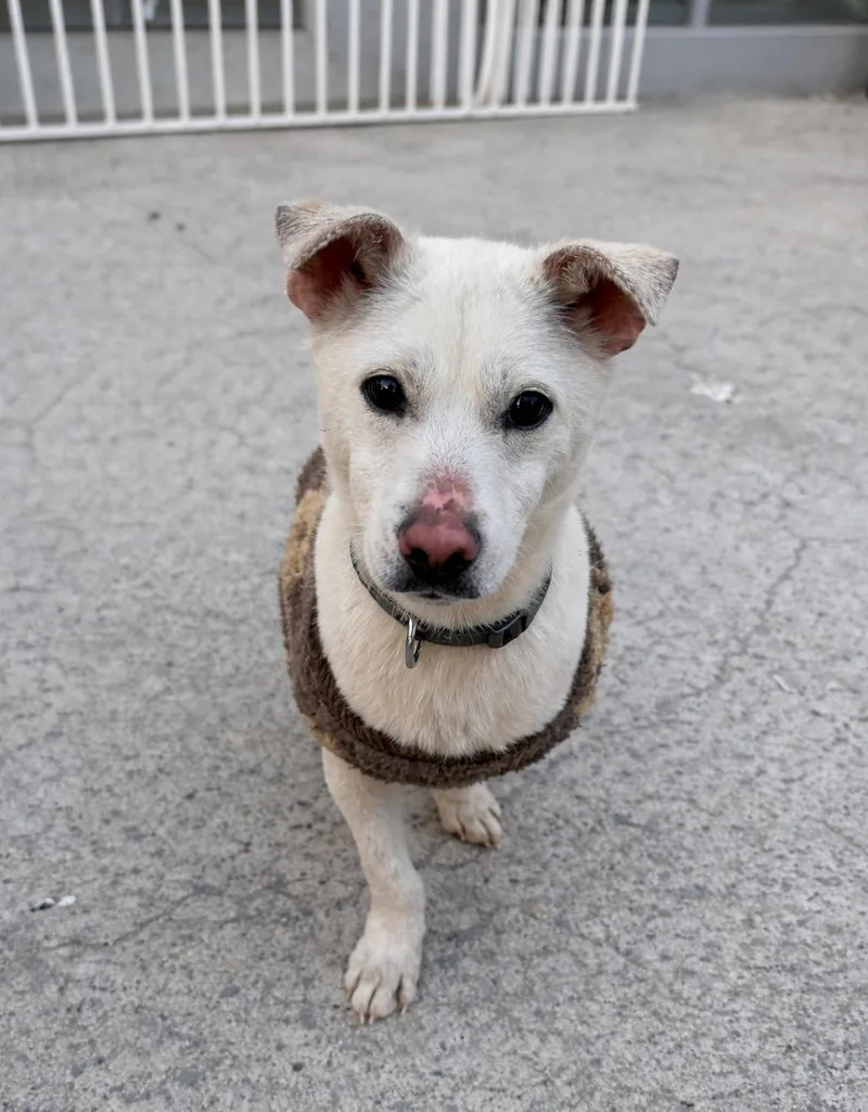 Roger Best Friend Lbs. thumbnail 3