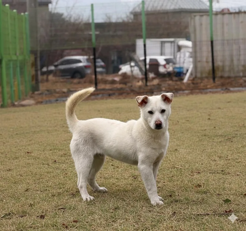 Roger Best Friend Lbs. thumbnail 4