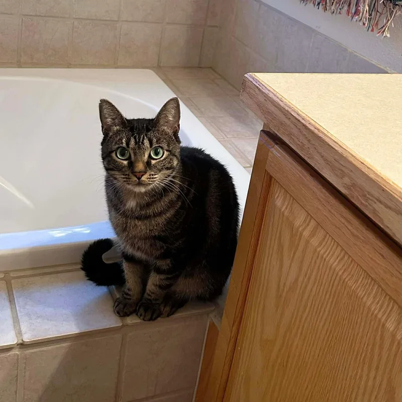 Timmy Girl thumbnail 6