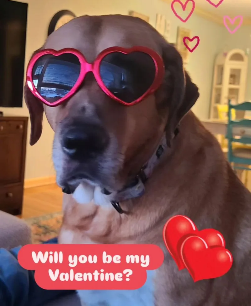 Gunner Dixon thumbnail 2