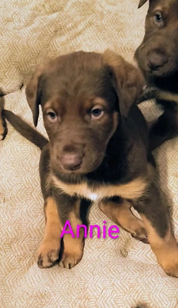 Annie