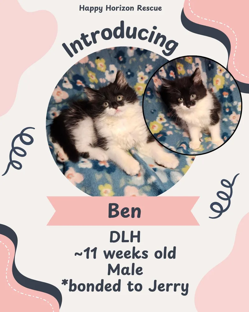 Ben thumbnail 3
