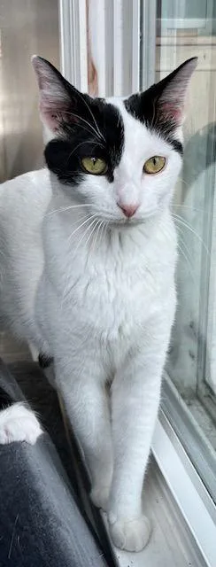 Mama Gabby thumbnail 2