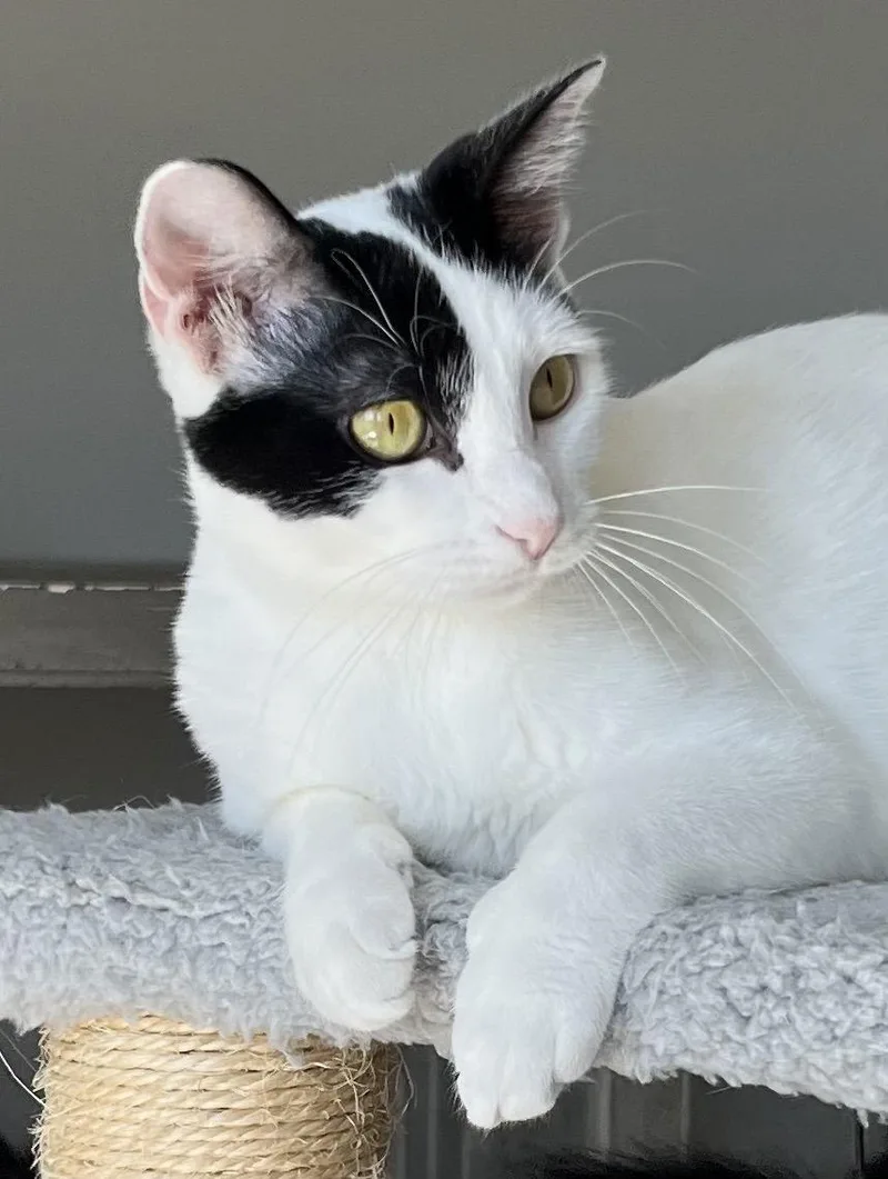 Mama Gabby thumbnail 3