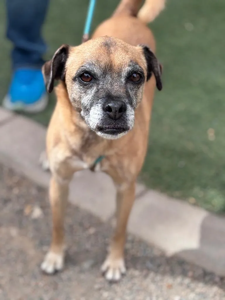 Serenity thumbnail 2