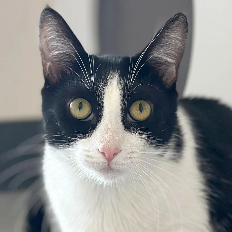 Svetlana thumbnail 2