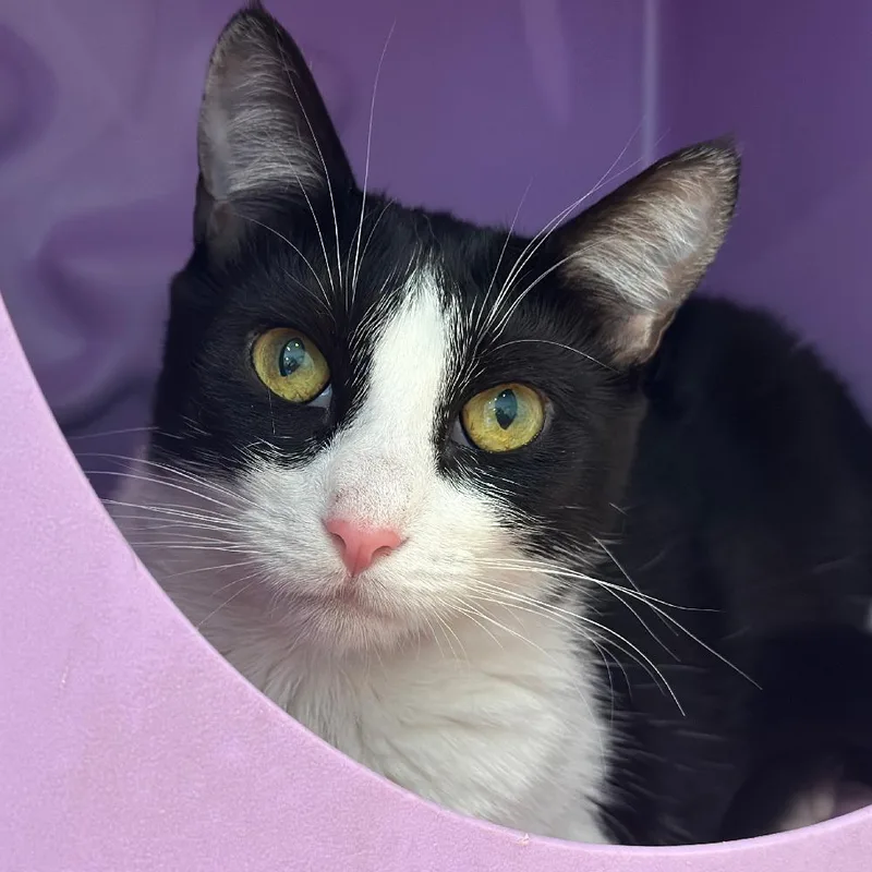 Svetlana thumbnail 3